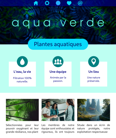 Exemple Vitrine 1